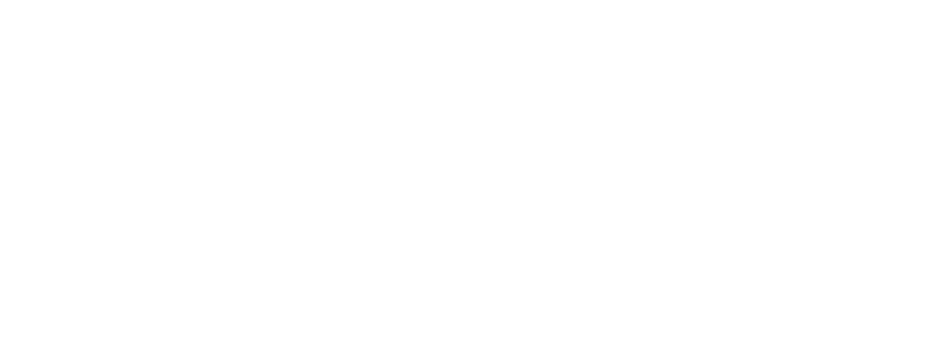 ALBION研究開発レポート ナノセスタ
