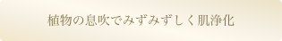 植物の息吹でみずみずしく肌浄化