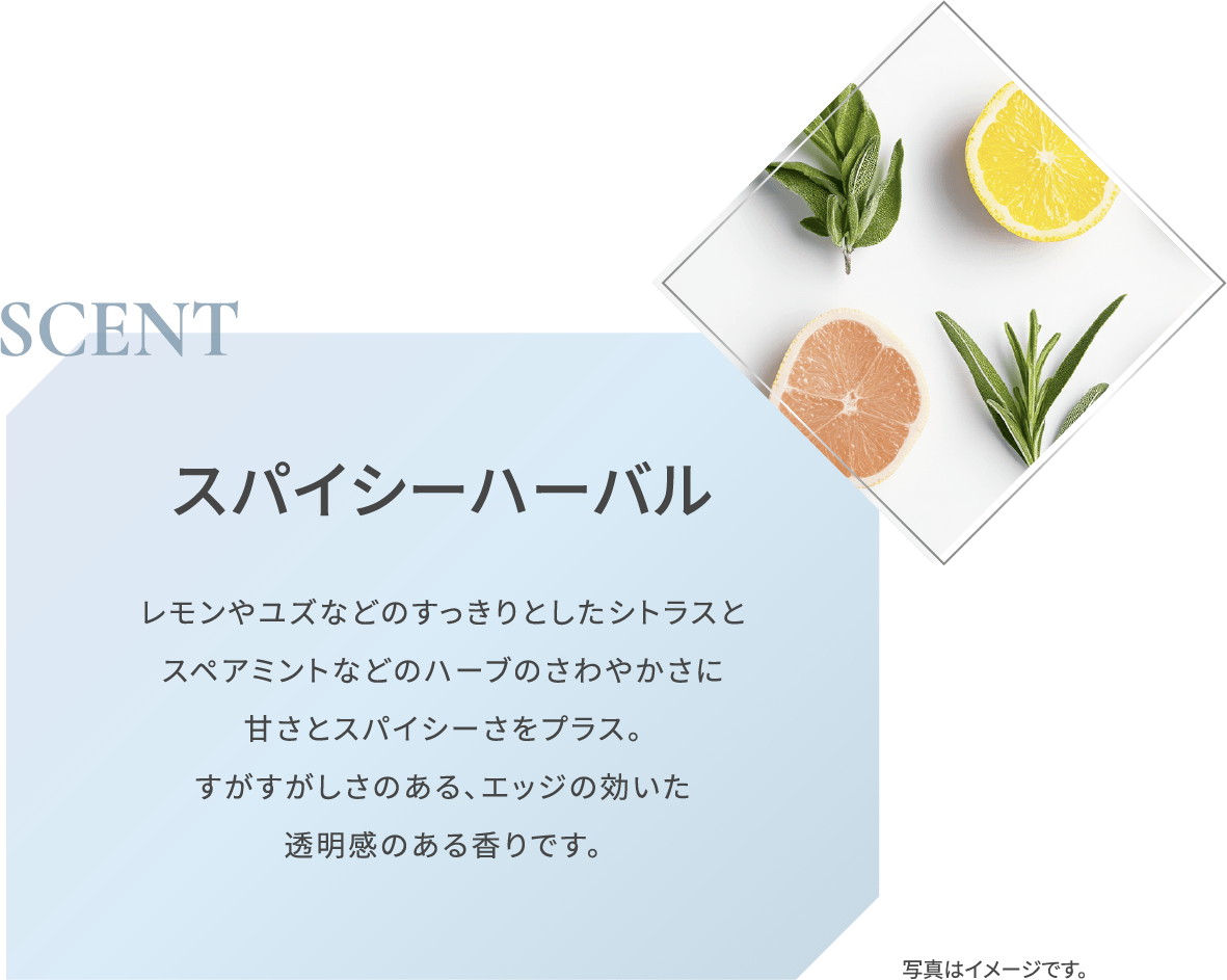 SCENT スパイシーハーバル レモンやユズなどのすっきりとしたシトラスと スペアミントなどのハーブのさわやかさに 甘さとスパイシーさをプラス。 すがすがしさのある、エッジの効いた 透明感のある香りです。