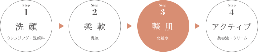 シリーズでの使用ステップ