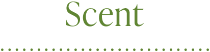 Scent
