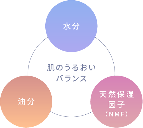水分 油分 天然保湿因子（NMF）肌のうるおいバランス