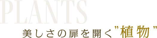 美しさの扉を開く”植物”