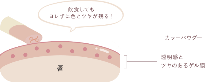 飲食してもヨレずに色とツヤが残る!(カラーパウダー/透明感とツヤのあるゲル膜)