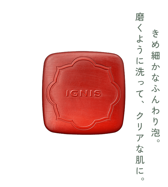 モイスト エフフォーリア アンバーソープ