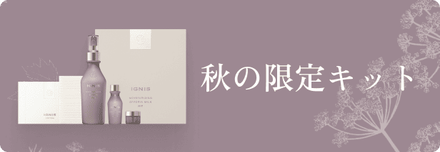 秋の限定キット