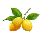 レモン画像