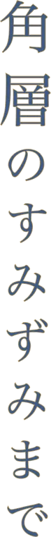 角層のすみずみまで