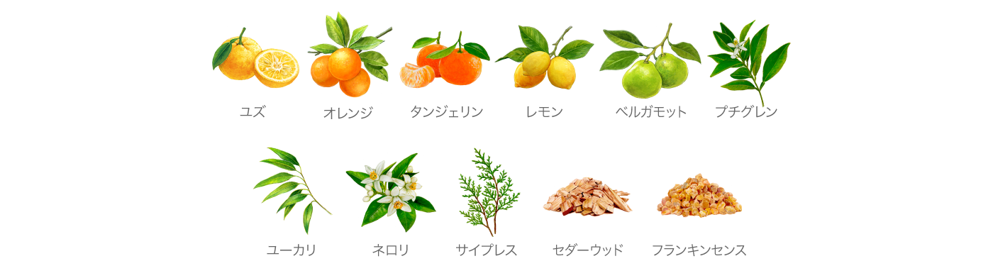 シトラスウッディの香り