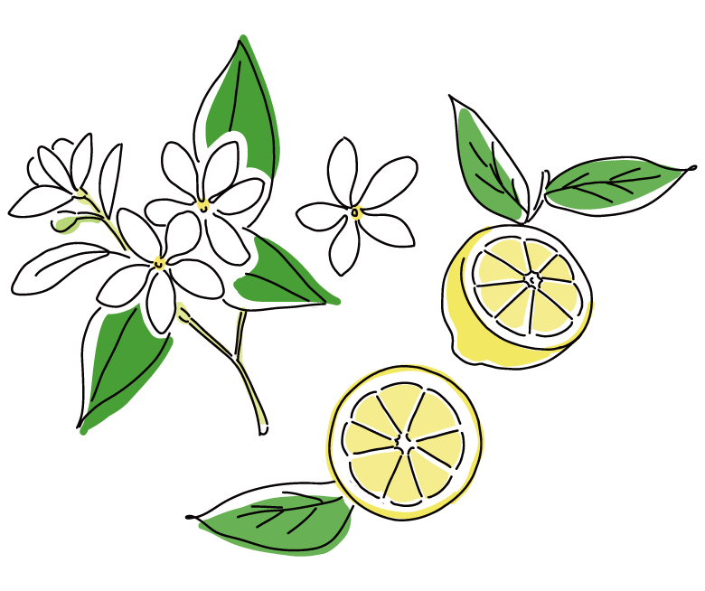 イノセントフローラルの香りのイメージ