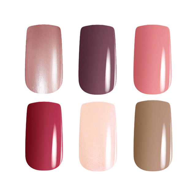 エクシア ヴェルニ