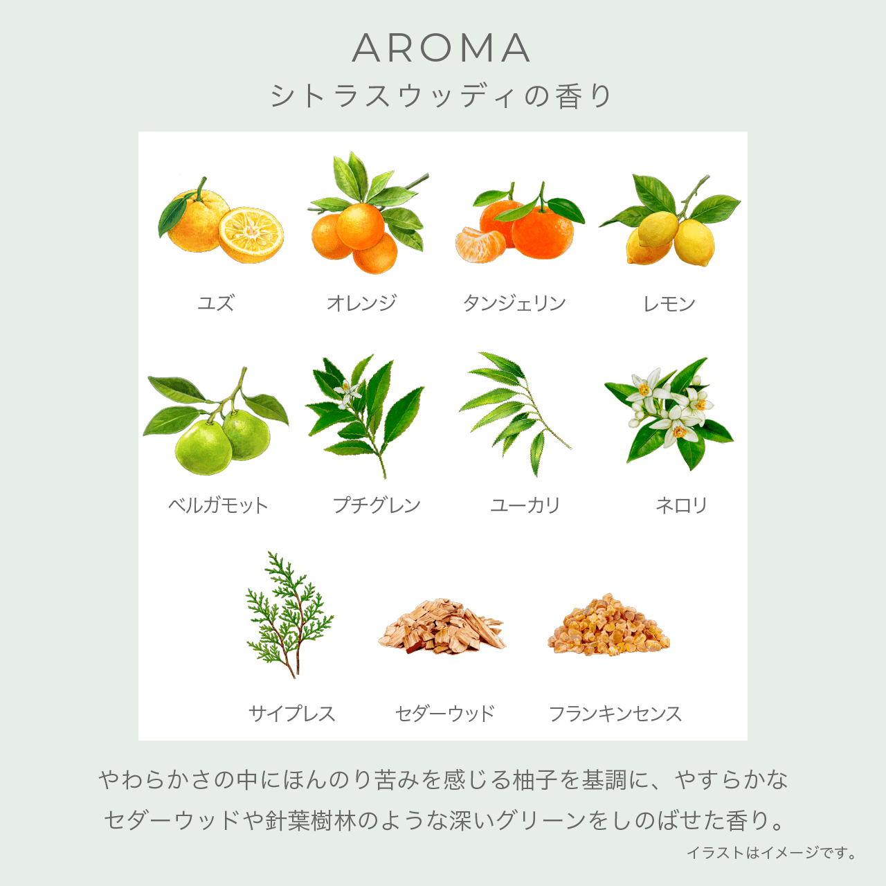 イグニス ナイトウェル ベッドサイド ミスト