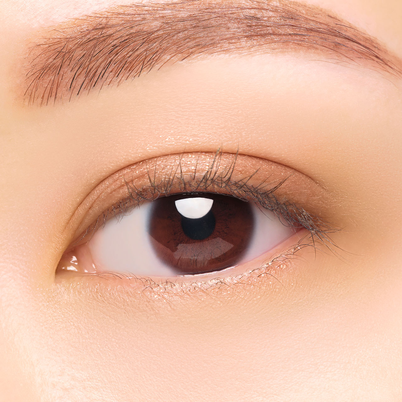 エレガンス レヨン ジュレアイズ N