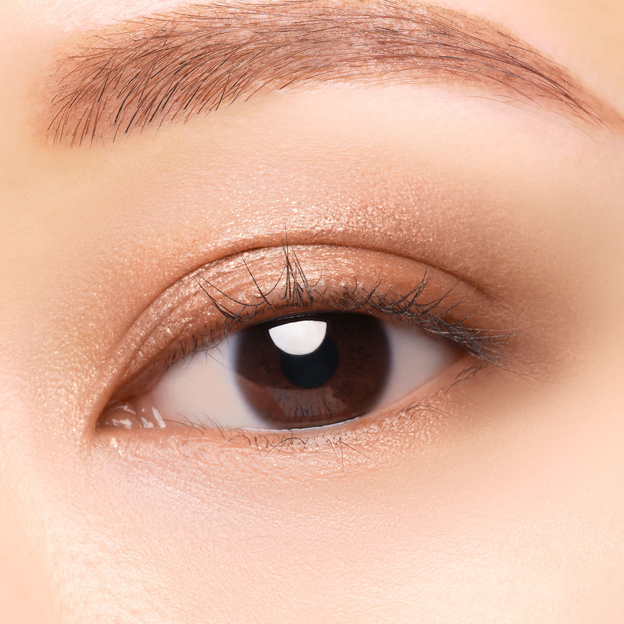 エレガンス レヨン ジュレアイズ N