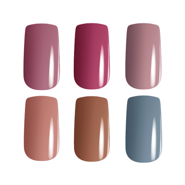 エクシア ヴェルニ