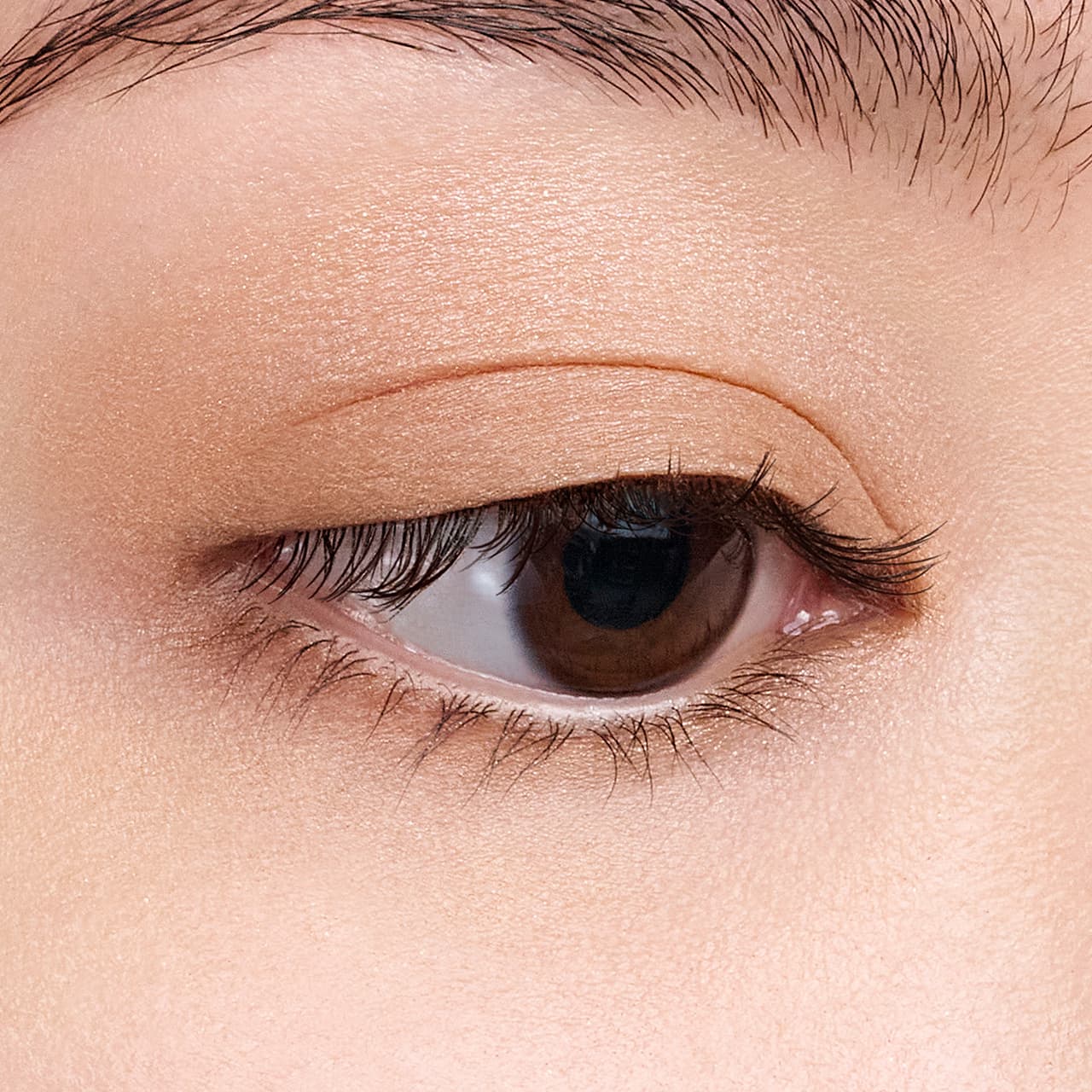 エレガンス アルモニーアイズ