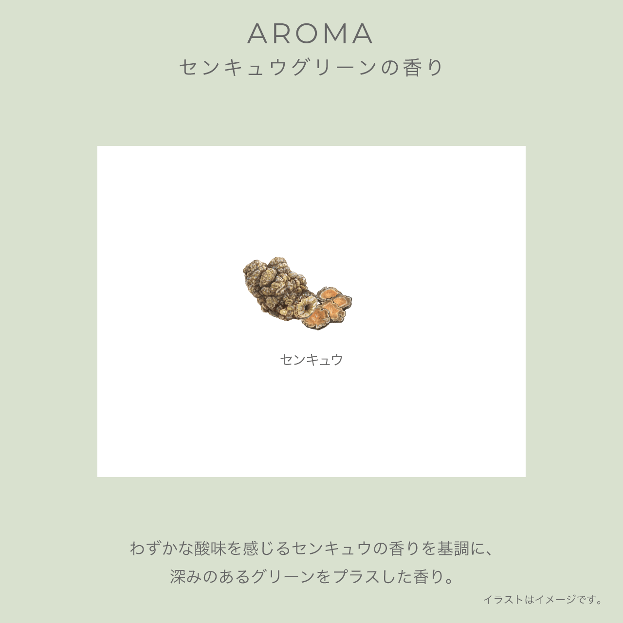 イグニス コンデンス エッセンス Ｓ