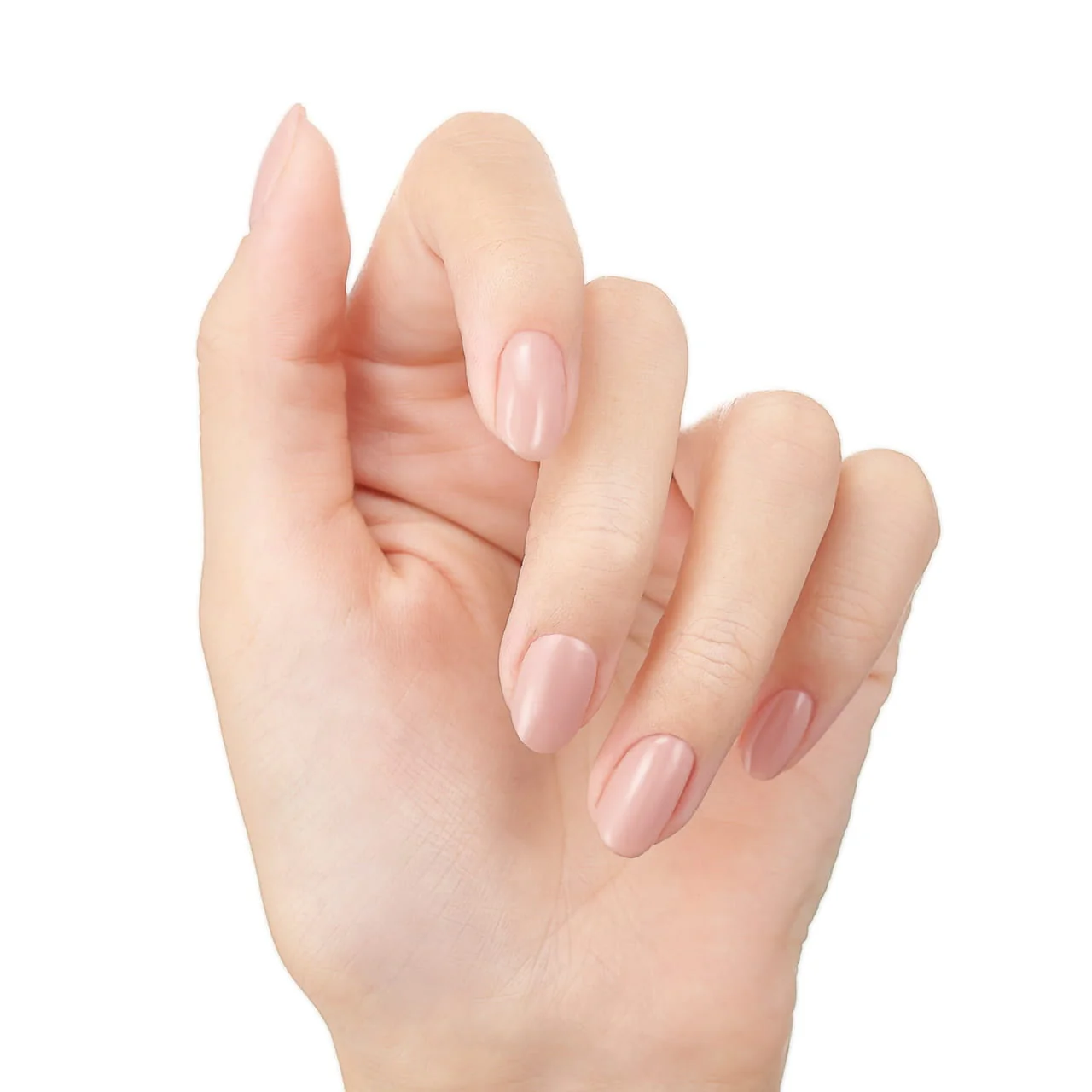 エレガンス ネイルカラー