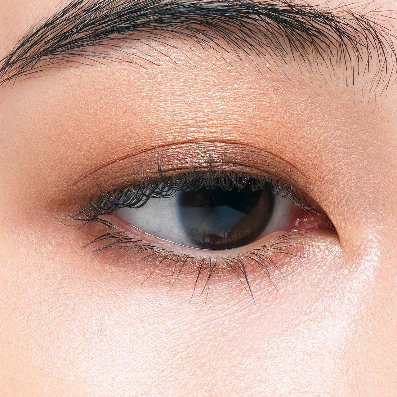 エレガンス アルモニーアイズ