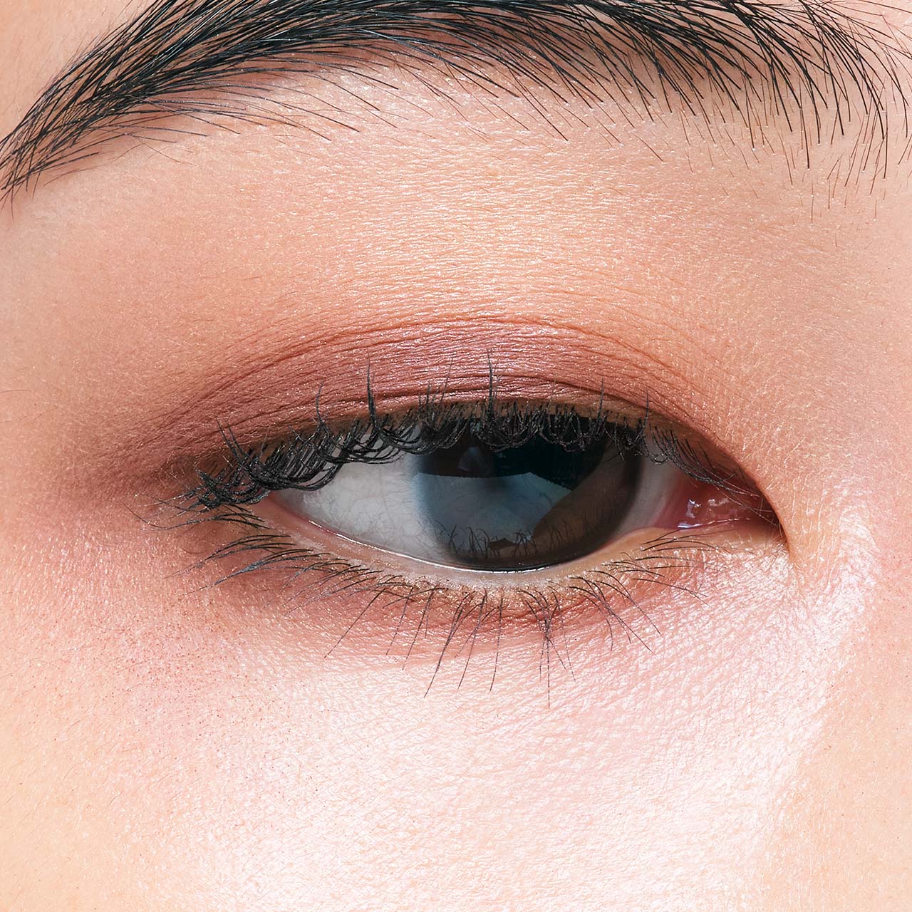 エレガンス アルモニーアイズ