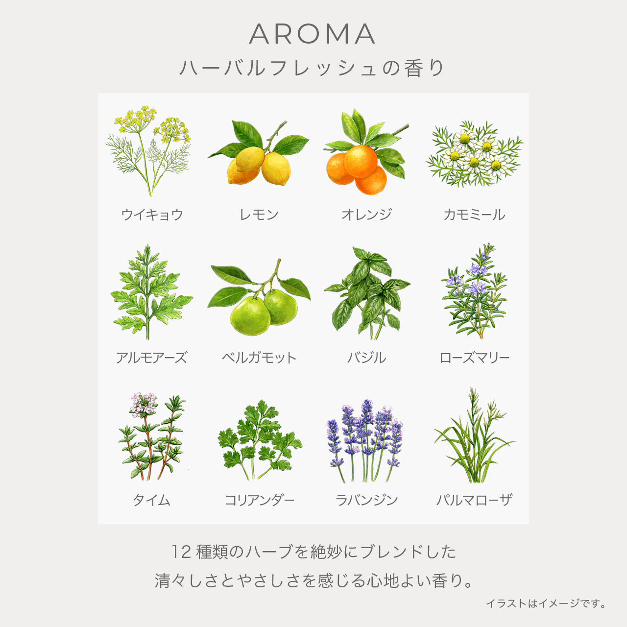 イグニス テンダー ピュア ローション