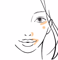 【ホルダー】エレガンス ドット コンシーラー ホルダーご使用方法画像