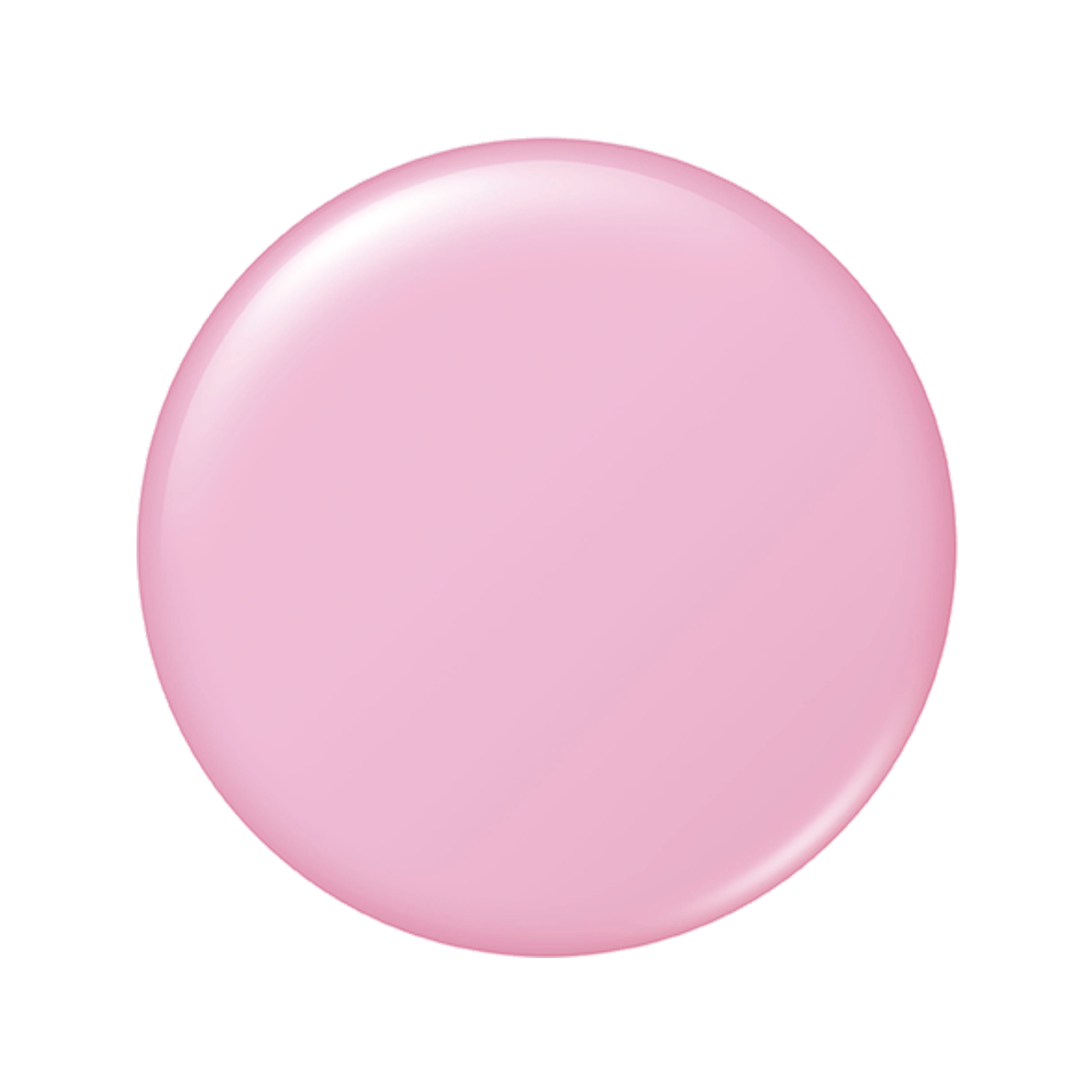 アルビオン スタジオ イージータップ NEO色玉画像