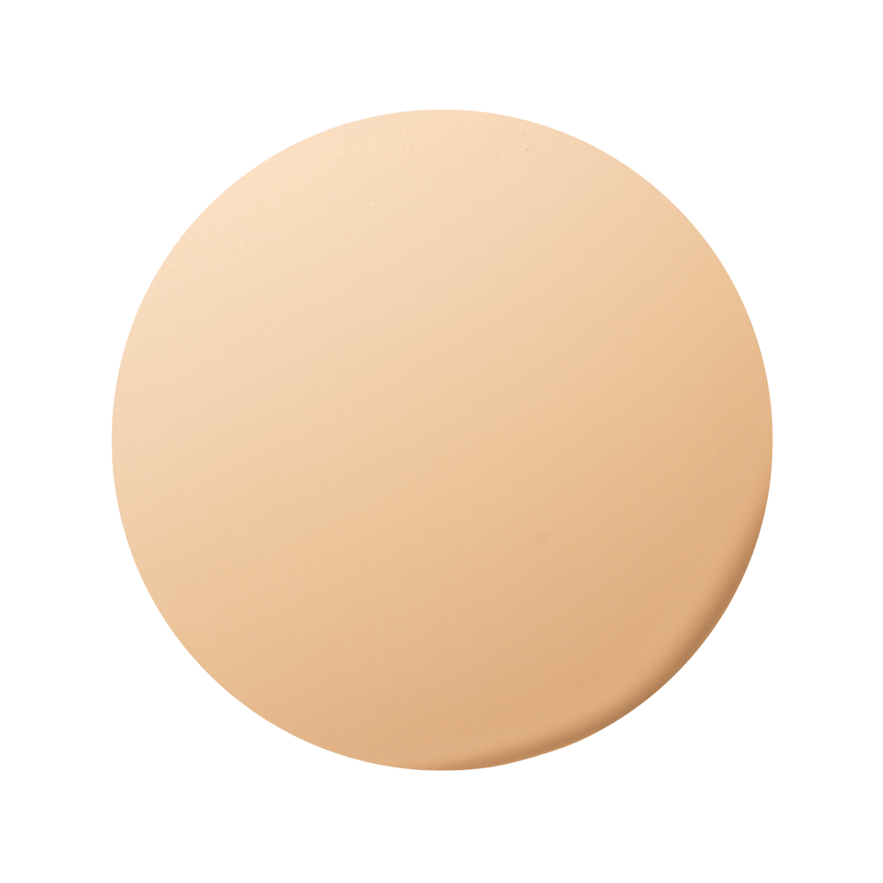 エレガンス ウォータリィ フィルミック ファンデーション色玉画像