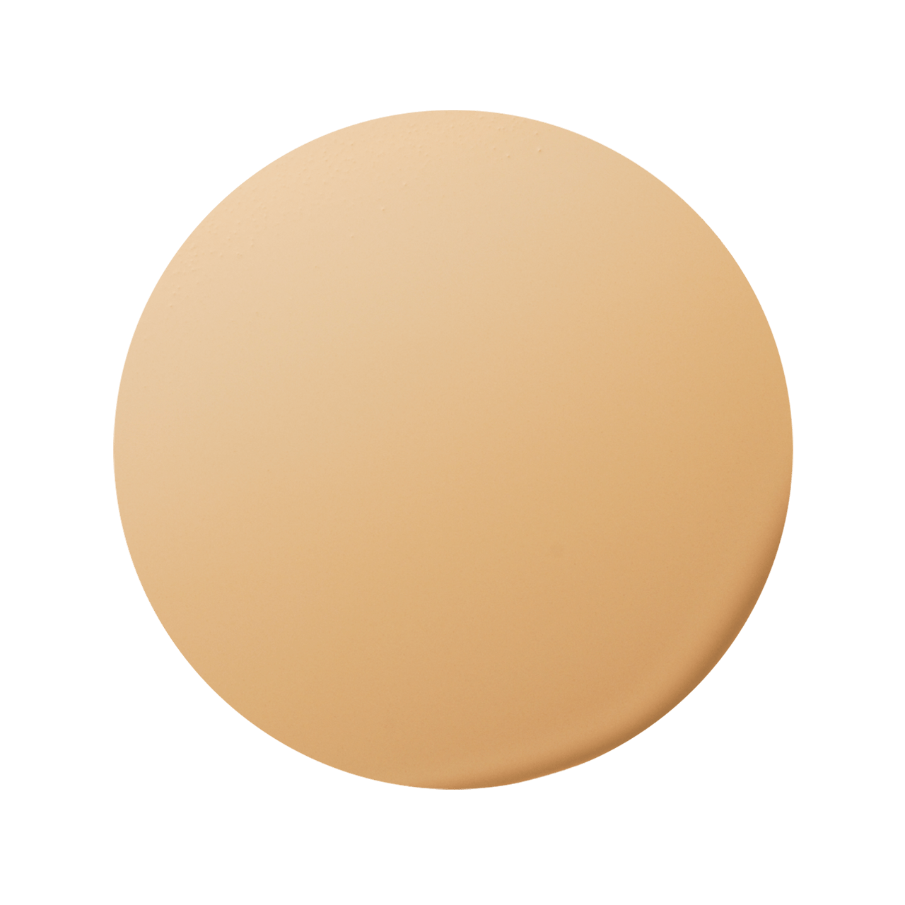 エレガンス ウォータリィ フィルミック ファンデーション色玉画像