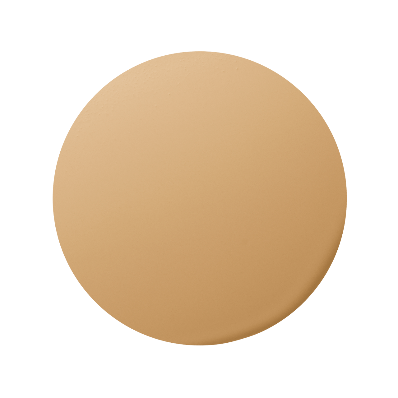 エレガンス ウォータリィ フィルミック ファンデーション色玉画像