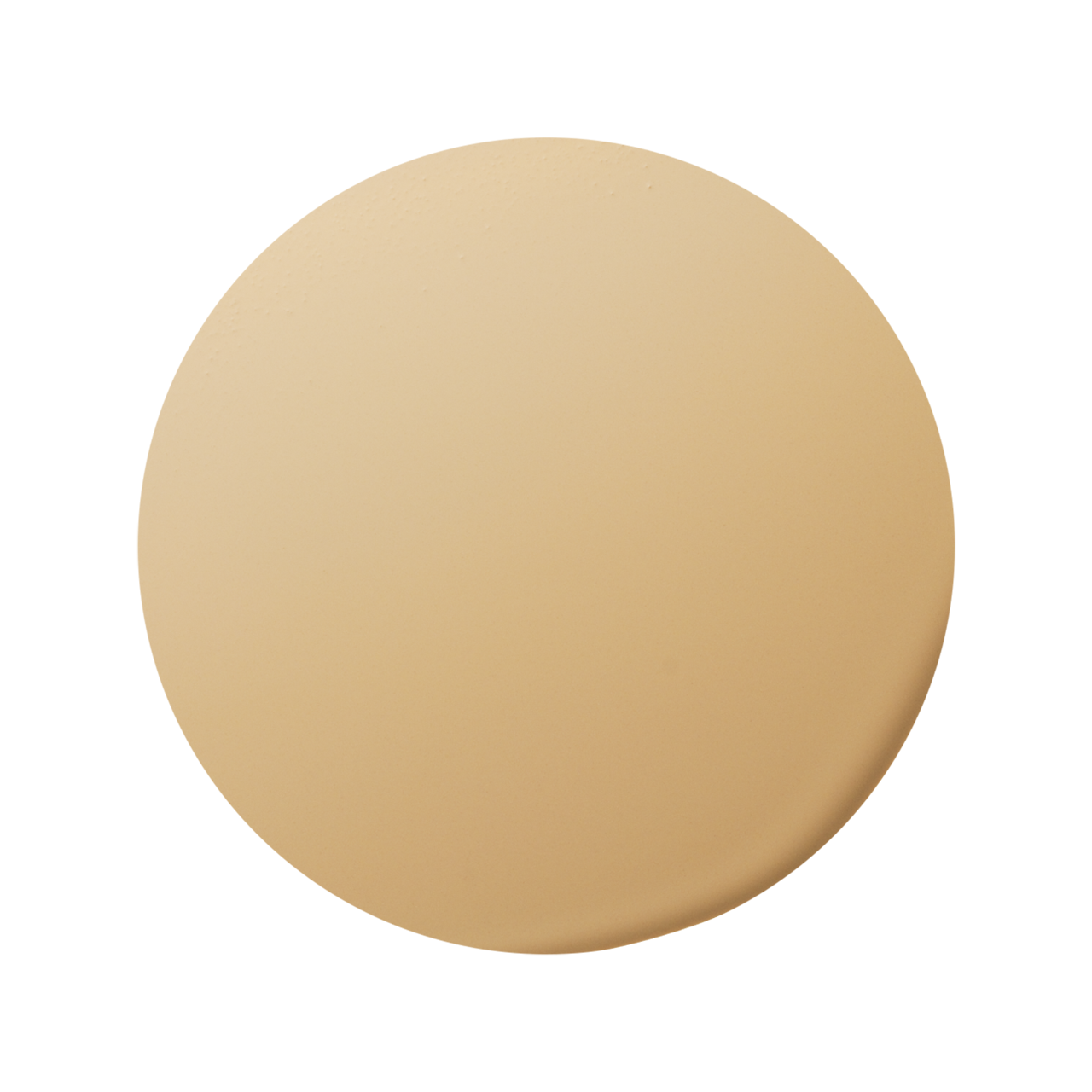 【レフィル】エレガンス ドット コンシーラー色玉画像