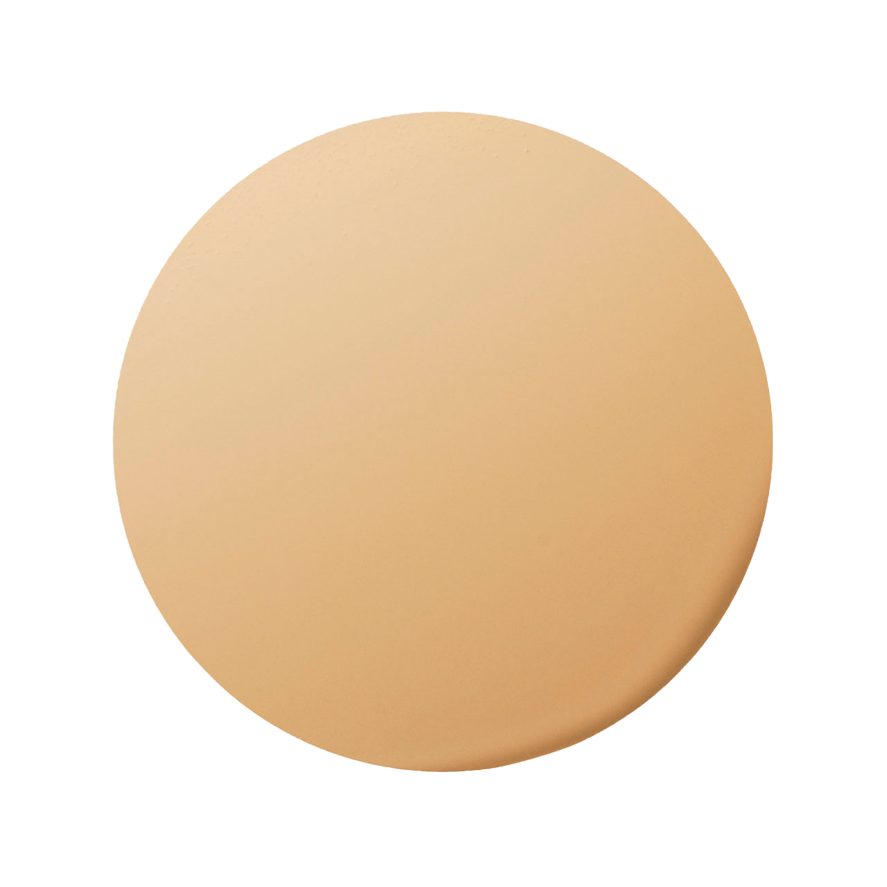 エレガンス スティーミング モイスト ファンデーション色玉画像