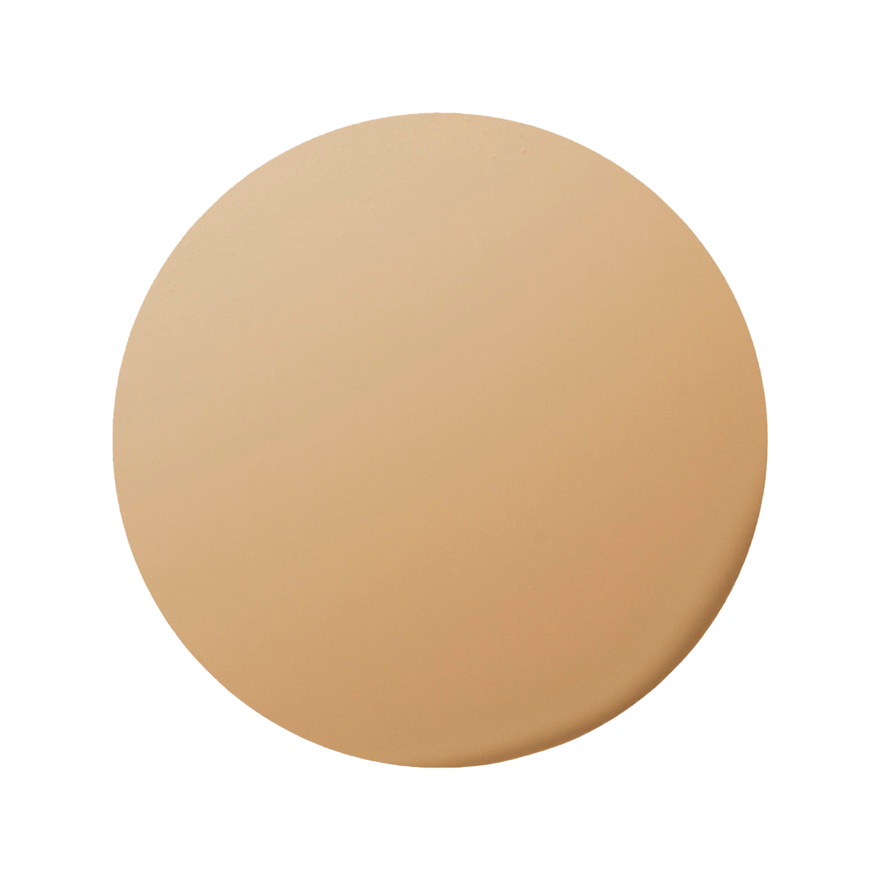 エレガンス スティーミング モイスト ファンデーション色玉画像