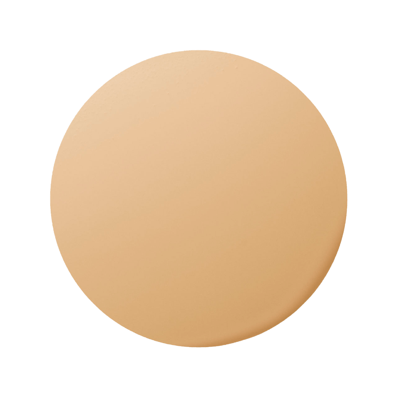 エレガンス スティーミング モイスト ファンデーション色玉画像