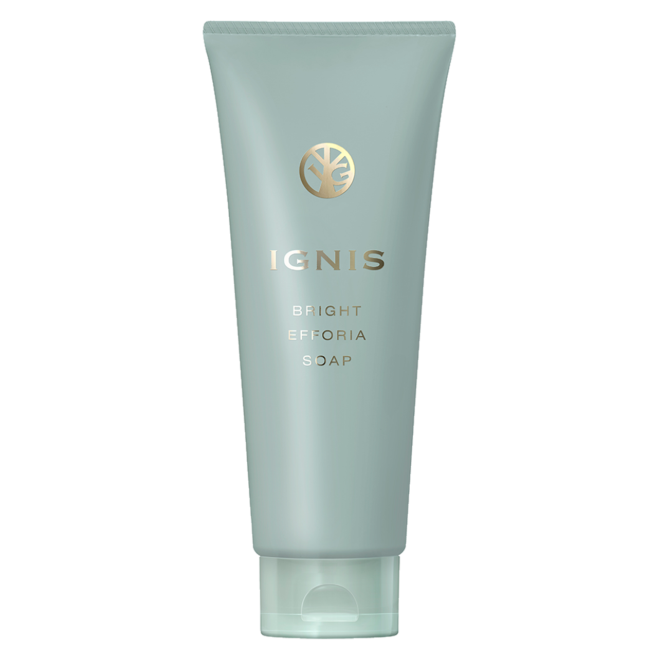 イグニス ブライト エフフォーリア ソープ