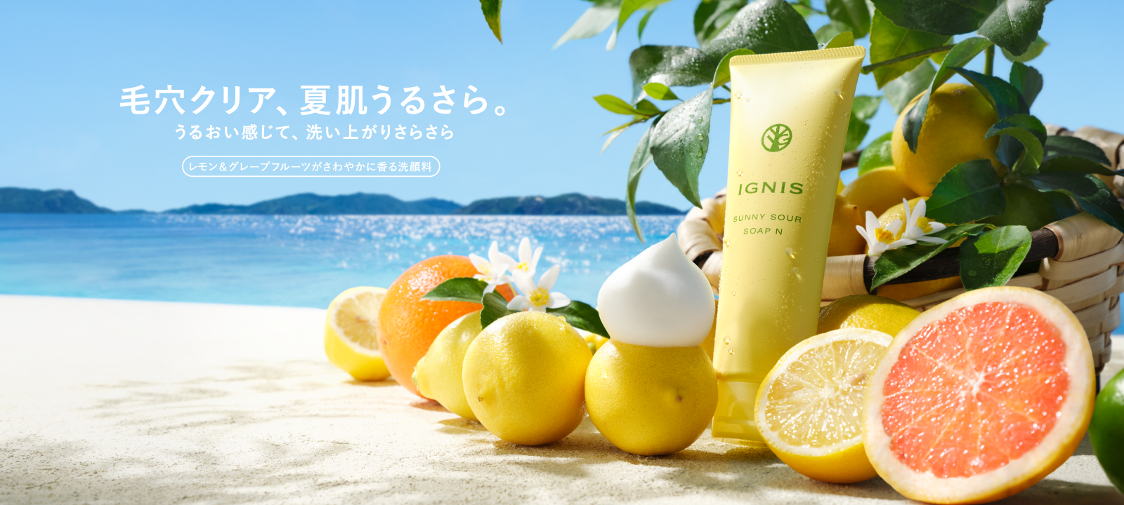 IGNIS（イグニス）公式サイト
