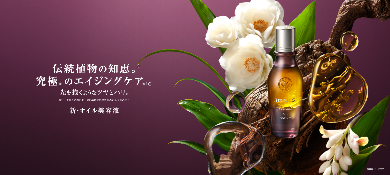 IGNIS（イグニス）公式サイト
