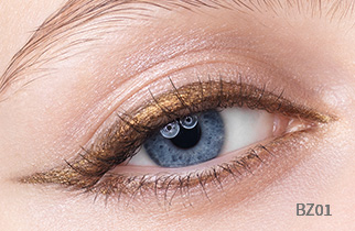 BZ01 イメージ画像