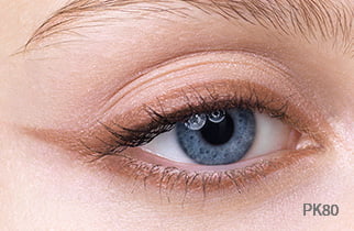 PK80 イメージ画像