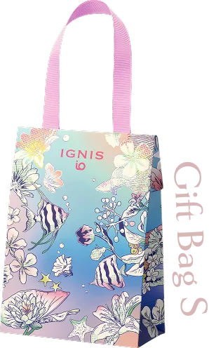 Gift Bag S