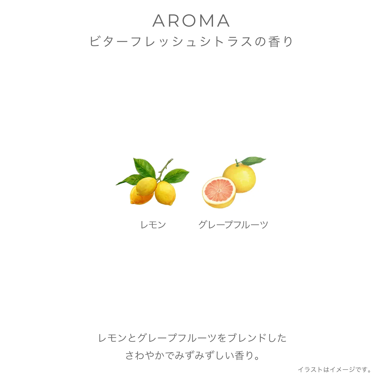 6月18日（木）限定発売］サニーサワー ソープ N キット 2026 | IGNIS