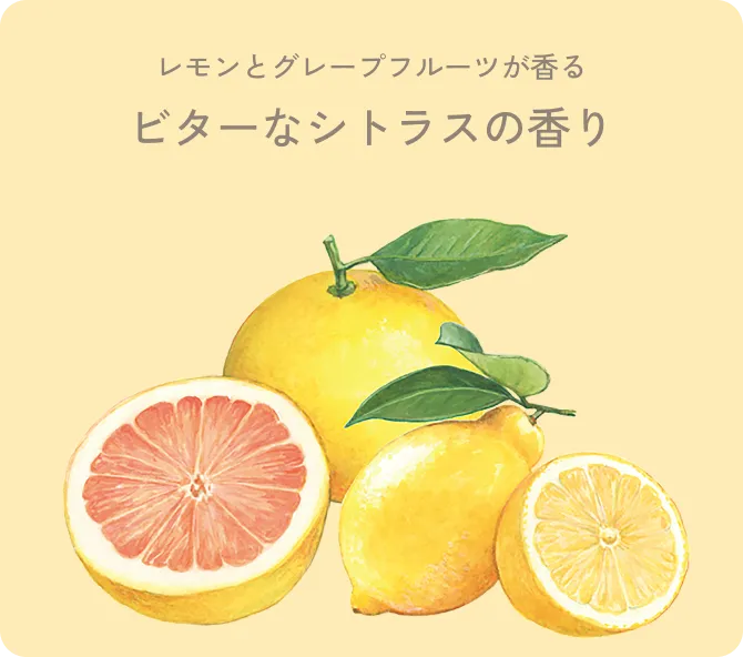 イグニス サニーサワー ライン｜ IGNIS（イグニス）公式サイト